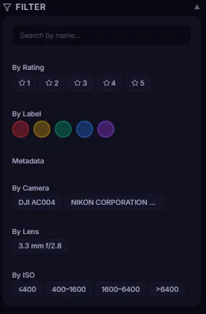 Advanced Filter panel: filter by ratings, flags, or color labels before executing bulk bucket moves